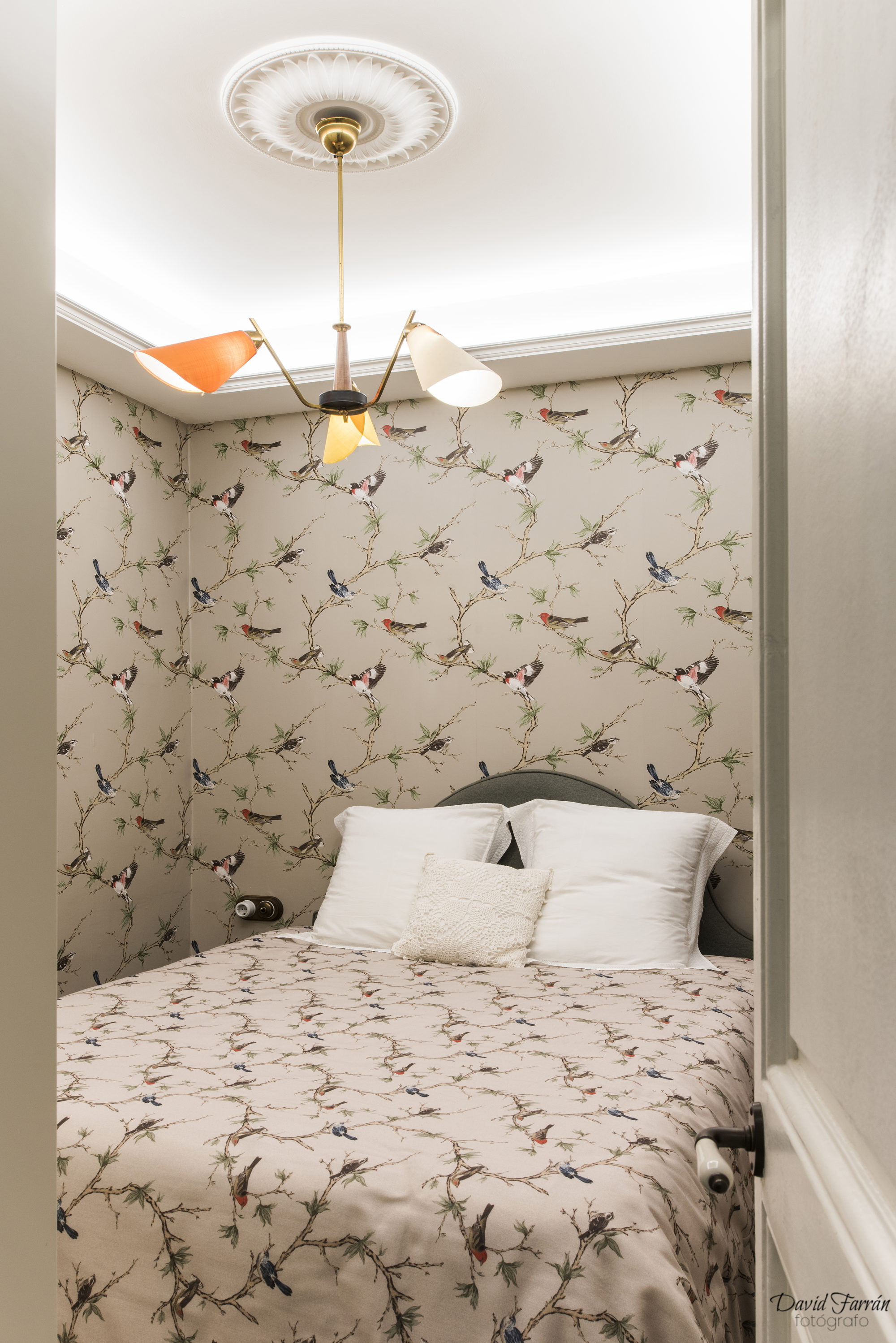 david-farran_pisomodernista38